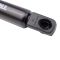 Liftgate Lift Support Set