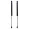 Liftgate Lift Support Set