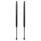 Liftgate Lift Support Set