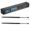 Liftgate Lift Support Set