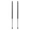 Liftgate Lift Support Set