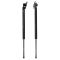 Liftgate Lift Support Set