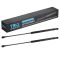 Trunk Lid Lift Support Set