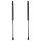 Trunk Lid Lift Support Set