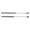 Hood Lift Support Set