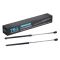 Hood Lift Support Set