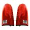 Tail Light Set