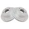 Performance Brake Rotor Pair