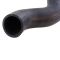 02-07 Jeep Liberty 3.7L Lower Radiator Hose