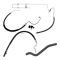Power Steering Hose