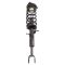 Shock & Spring Assembly