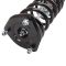 Shock & Spring Assembly