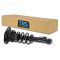 07-14 Mini Cooper (exc JCW) Rear Complete Shock & Spring Assembly RL