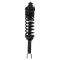 94-97 Honda Accord Rear Shock & Spring Assembly RR