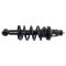 02-06 Honda CR-V Rear Shock & Spring Assembly LR
