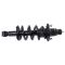 02-06 Honda CR-V Rear Shock & Spring Assembly RR