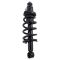 02-06 Honda CR-V Rear Shock & Spring Assembly RR