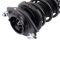Shock & Spring Assembly