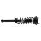 Shock & Spring Assembly