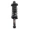 Shock & Spring Assembly
