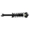 Shock & Spring Assembly