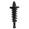 Shock & Spring Assembly