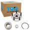 Wheel Bearing & Hub Kit