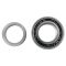 Rear Wheel Bearing Pair