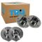 Wheel Bearing & Hub Assembly Set