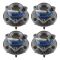 Wheel Bearing & Hub Assembly Set
