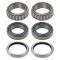 Wheel Bearing & Seal Kit