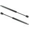 04-06 Nissan Maxima Hood Lift Support Pair