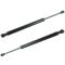 03-07 Nisan Murano Hood Lift Support Pair