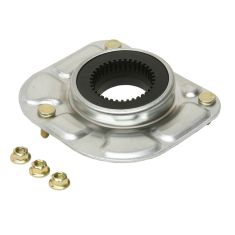Strut Mount with Bearing