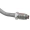 Power Steering Pressure Line Hose Assembly