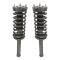 95-99 Nissan Maxima; 96-99 Infiniti I30 Rear Strut Assembly PAIR