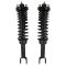 92-95 Honda Civic Rear Strut Assembly PAIR