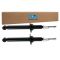 Shock Absorber Set