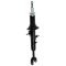 Shock Absorber Set