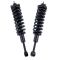 Strut & Spring Assembly Set