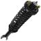 94-01 Acura Integra (exc Type R); 92-95 Honda Civic; 93-97 Del Sol Rear Shock & Spring Assy PAIR