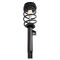 Complete Strut Assembly & Shock Absorber Kit