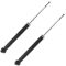 06-11 Hyundai Accent, Kia Rio Rear Shock Absorber Pair