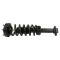2014 Ford F150 (exc Raptor) w/4WD Front Strut & Spring Assembly PAIR