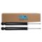 Shock Absorber Set