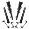 Complete Strut Assembly & Shock Absorber Kit