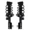 Strut & Spring Assembly Set