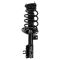Front Complete Strut & Spring Assembly Pair