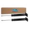 Shock Absorber Set