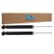 Shock Absorber Set